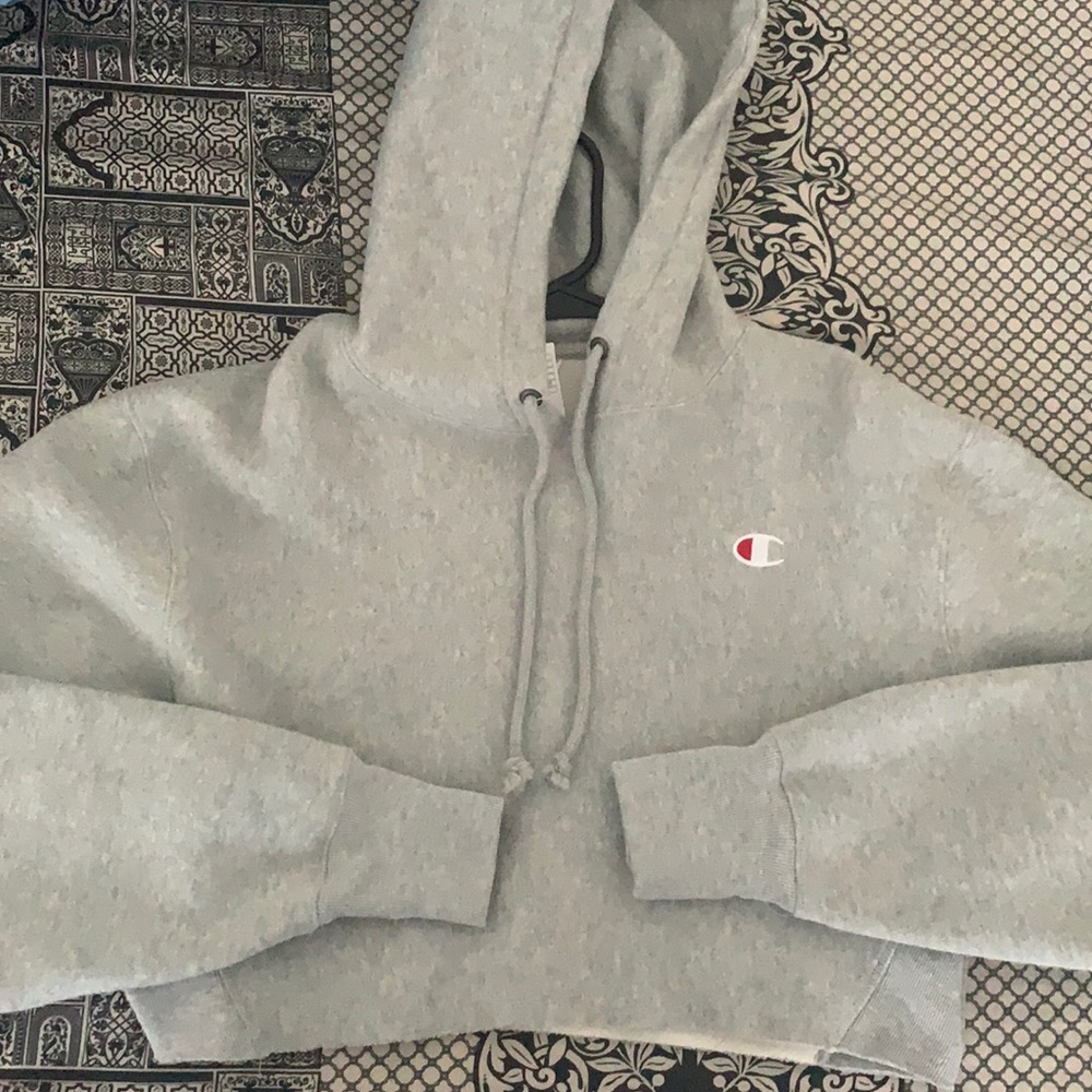 Gray Cropped Champion sweater